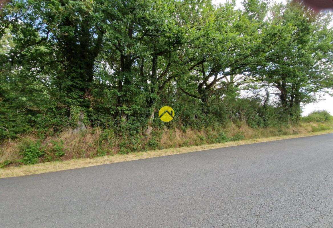 Terrain constructible de 2505 m² - photo 6
