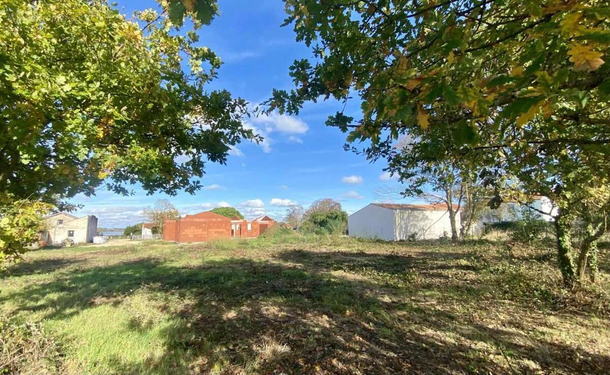 Terrain à PORT-DES-BARQUES