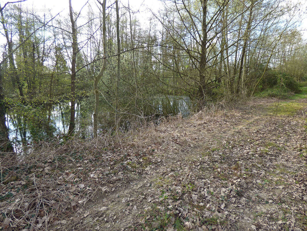 Terrain à SAINT-TRIVIER-DE-COURTES