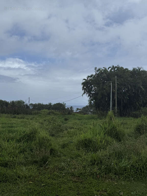 Terrain à CAPESTERRE-BELLE-EAU