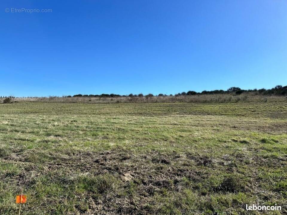 Terrain à LIMOUX