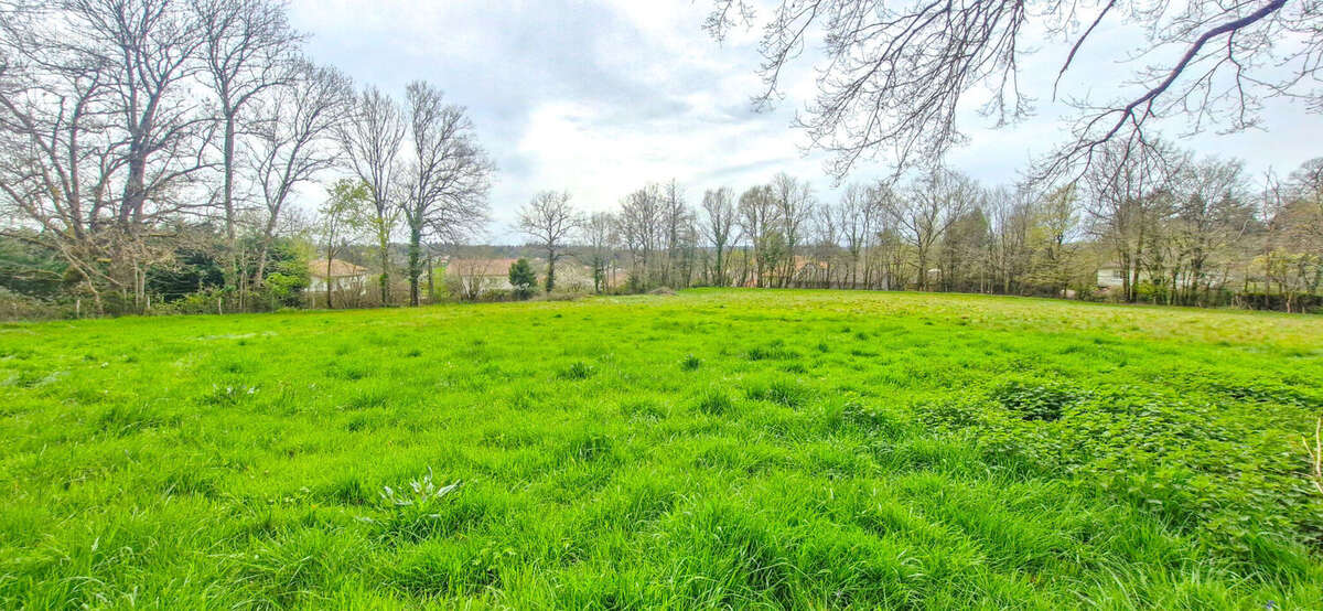 Photo 3 - Terrain à CHABANAIS