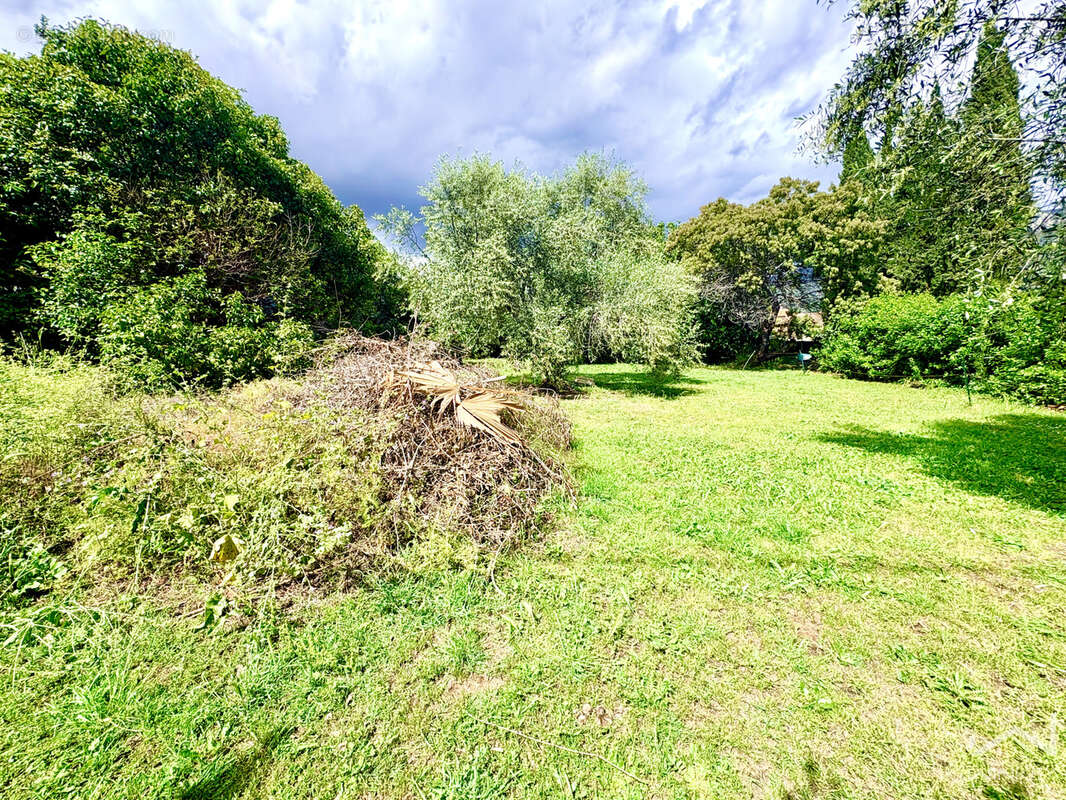 Terrain à CARROS