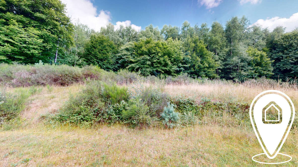 Maison à PIERRE-PERCEE