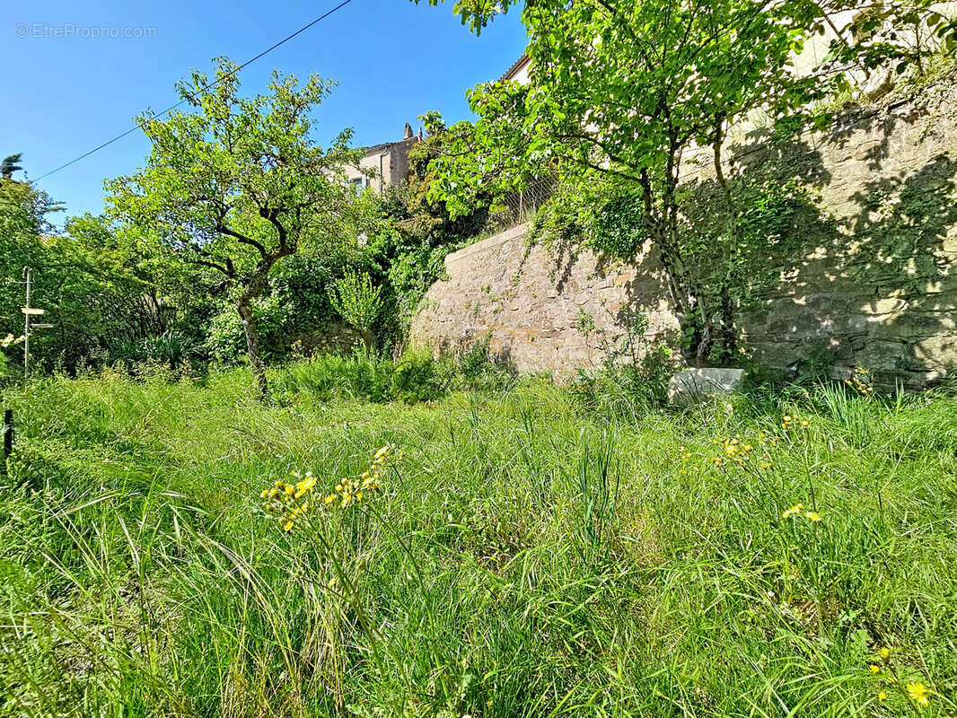 Maison à SAINT-FELIX-DE-SORGUES