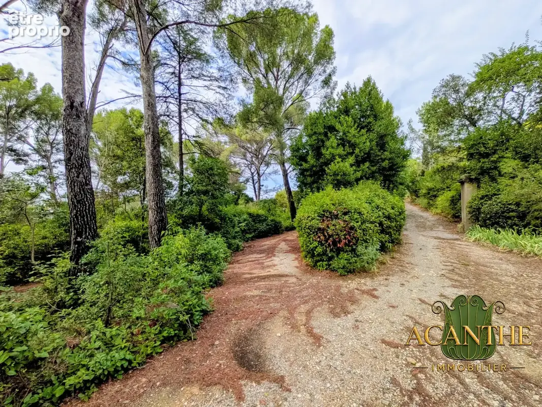 Maison 22 pièces 568 m² à vendre à Montpellier (34070) - photo 5