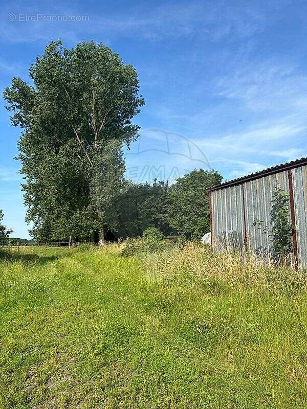 Maison 4 chambre(s) à vendre - photo 33
