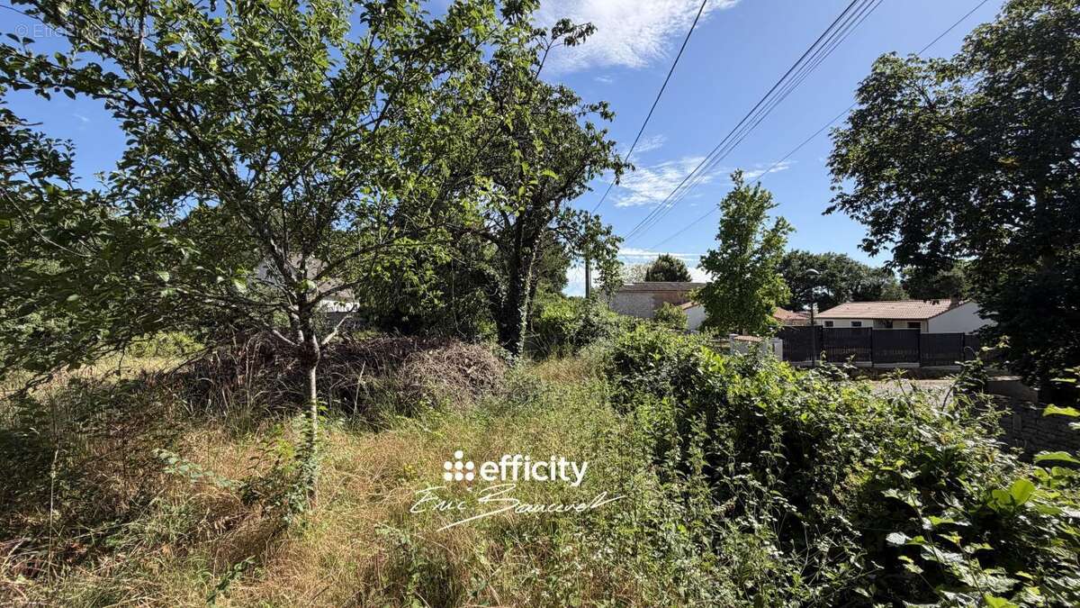 Terrain 819 m² à Azay-Le-Brule  - photo 8