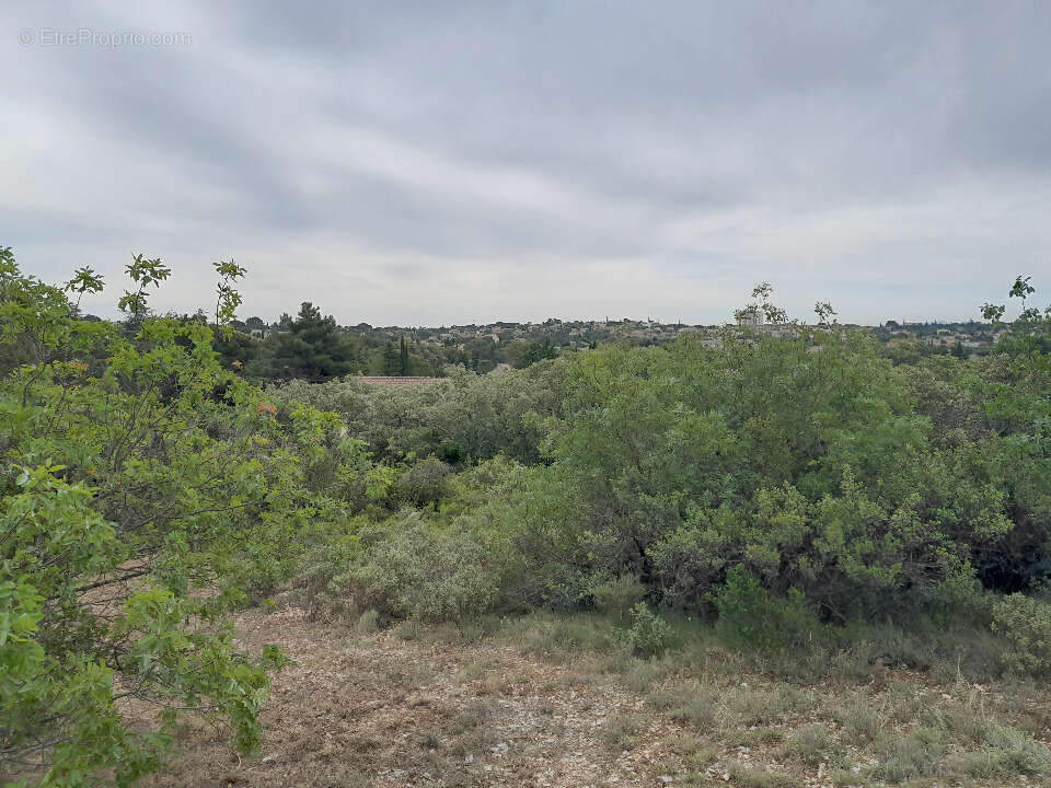 Terrain à VILLENEUVE-LES-AVIGNON