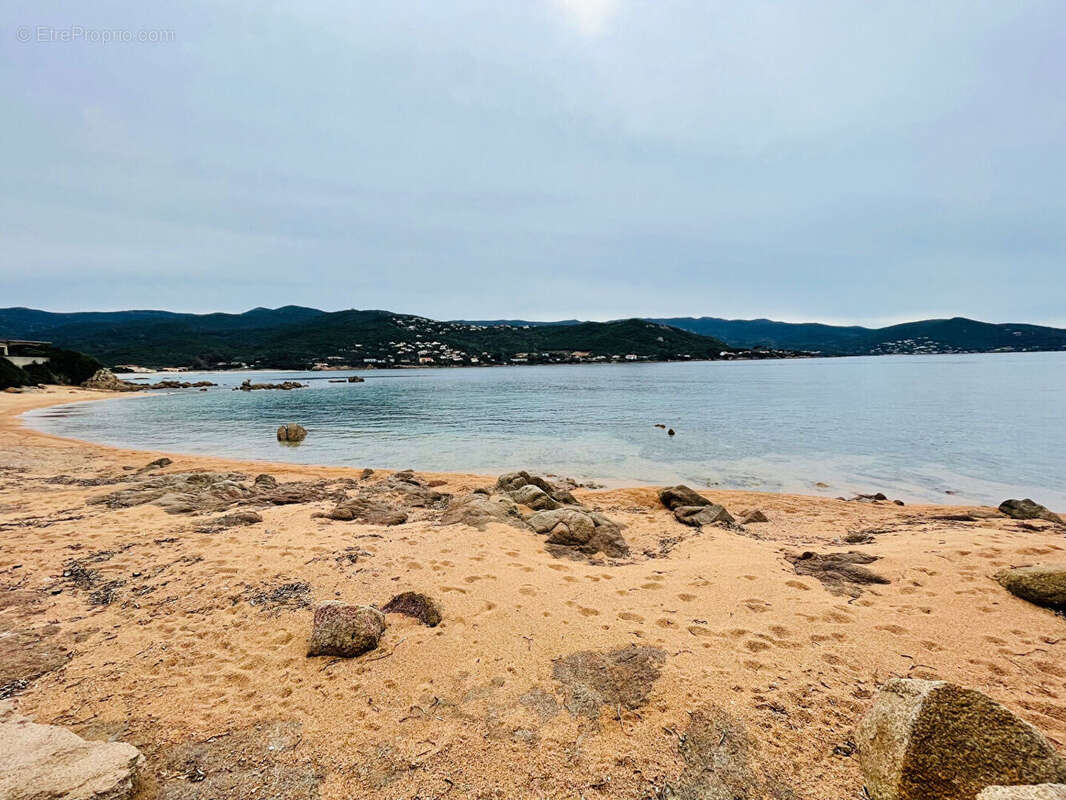 Autre à PIETROSELLA