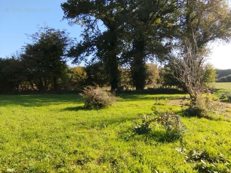 Maison à MELLIONNEC