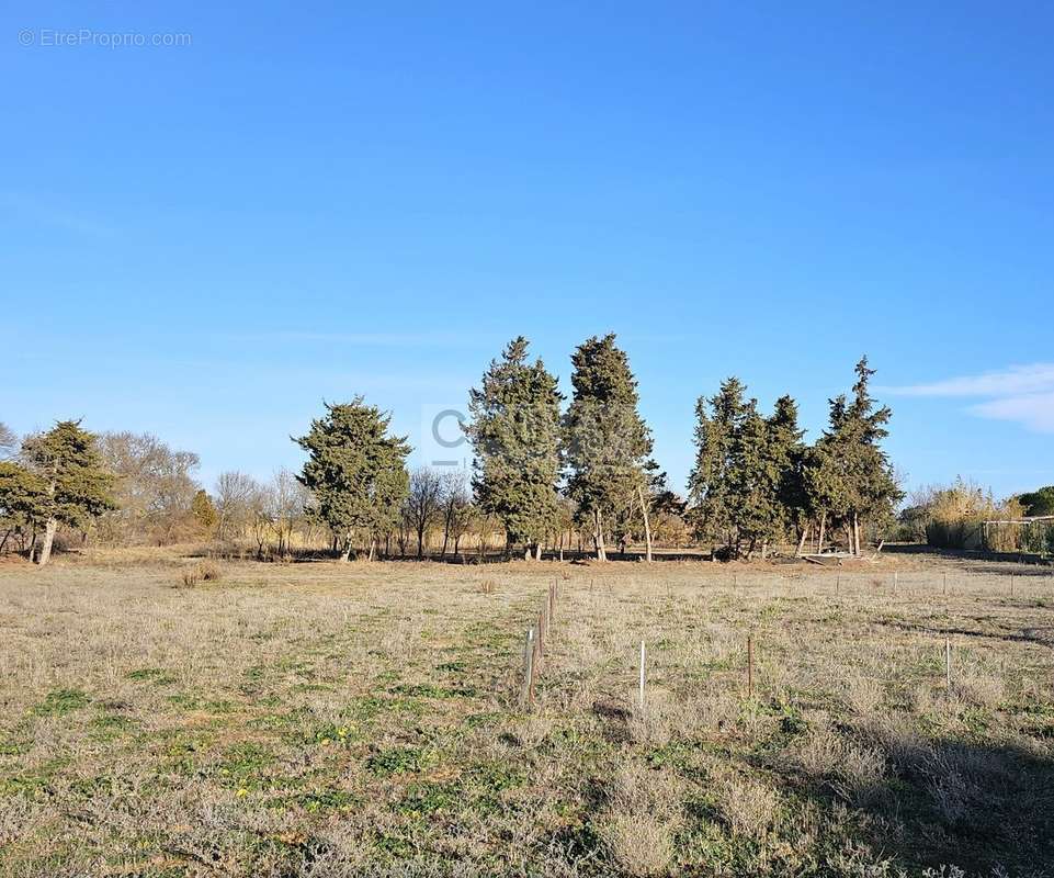 Maison à PORTIRAGNES