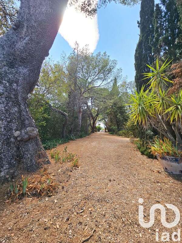 Photo 5 - Maison à CLAIRA