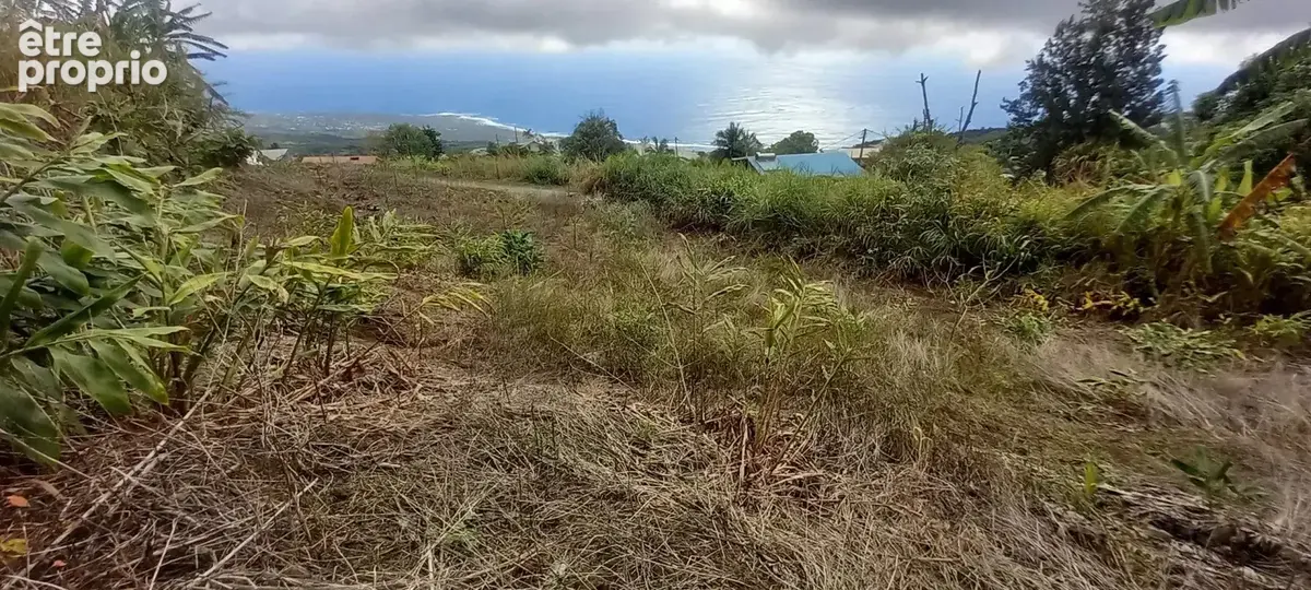 Terrain à SAINT-LEU