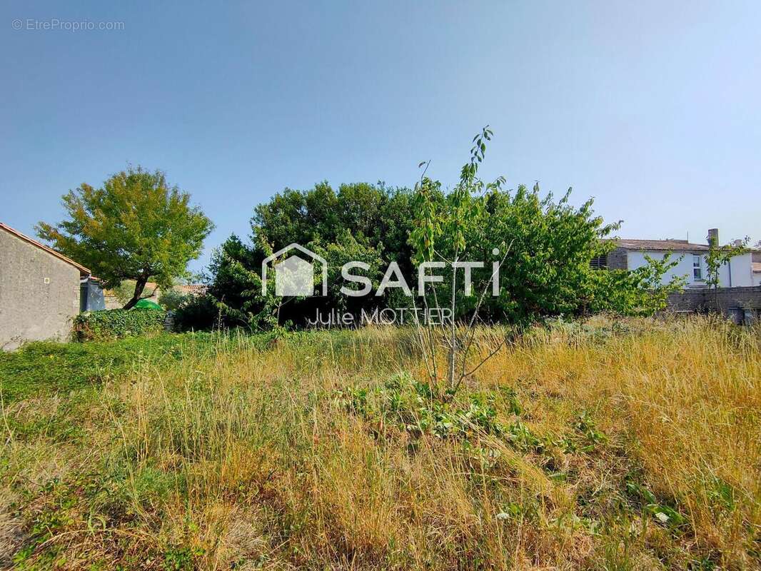 Photo 2 - Terrain à SAINTE-MARIE-DE-RE