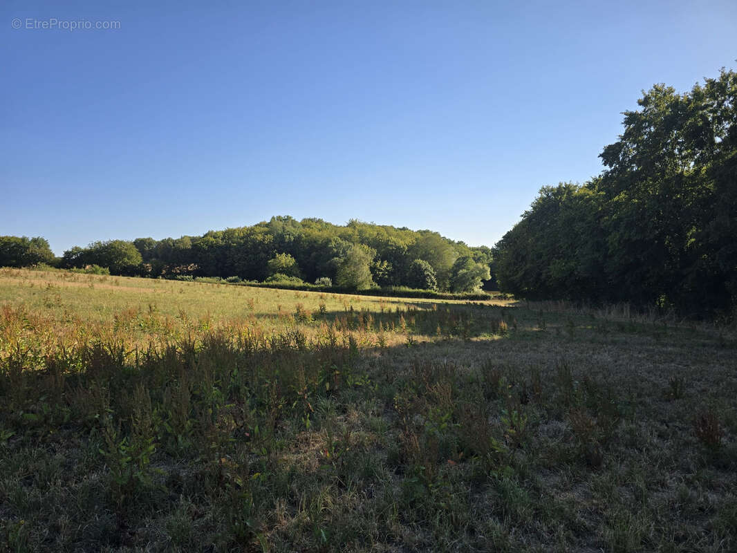Ensemble foncier de 5 ha 78 a 43 ca   Cernoy-en-Berry - photo 3