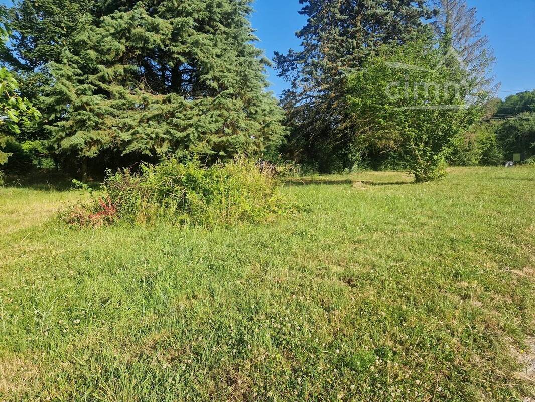 Terrain à SAVONNIERES