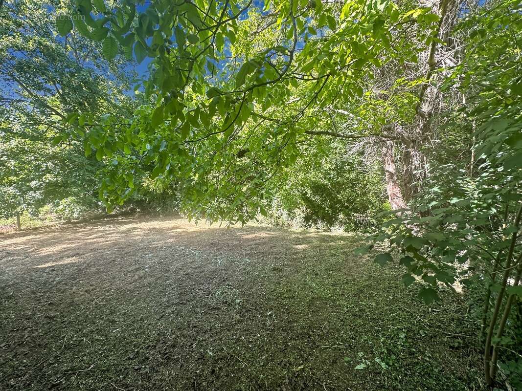 SOUPPES SUR LOING centre ville - Maison P5 de 122 m² - Terrain de 988 m² - photo 3