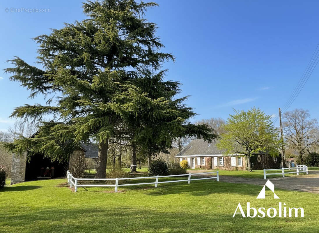 Maison 123 m² à Loigne-Sur-Mayenne  - photo 9