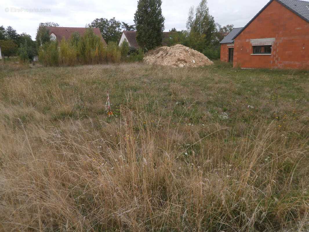Terrain a batir 778 m2 viabiliser et securiser - photo 3