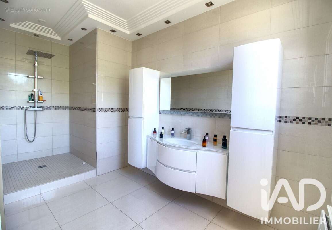 Maison 255 m² à Mery-Sur-Marne  - photo 4