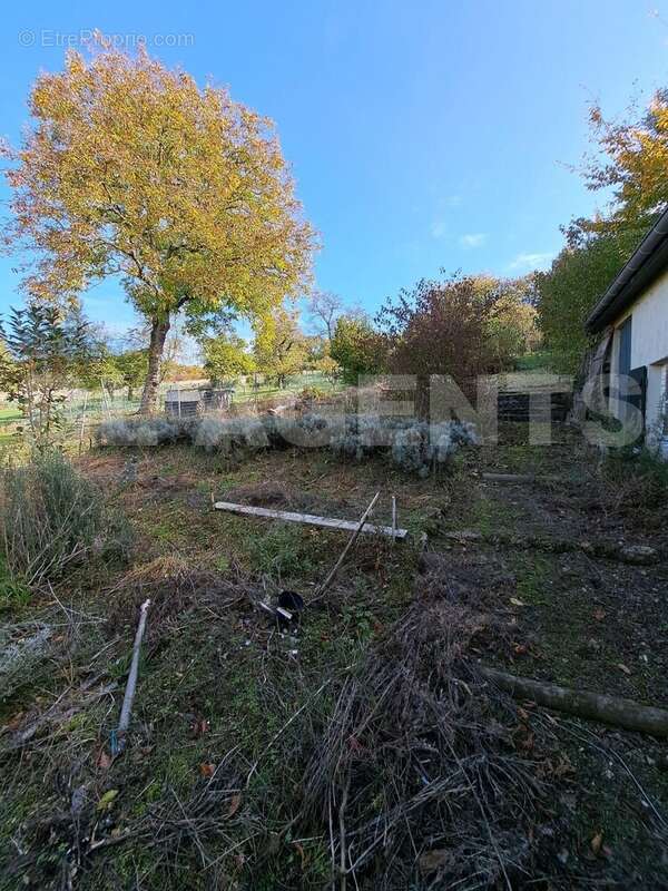 WhatsApp Image 2025-11-05 at 13 - Maison à DUN-SUR-MEUSE