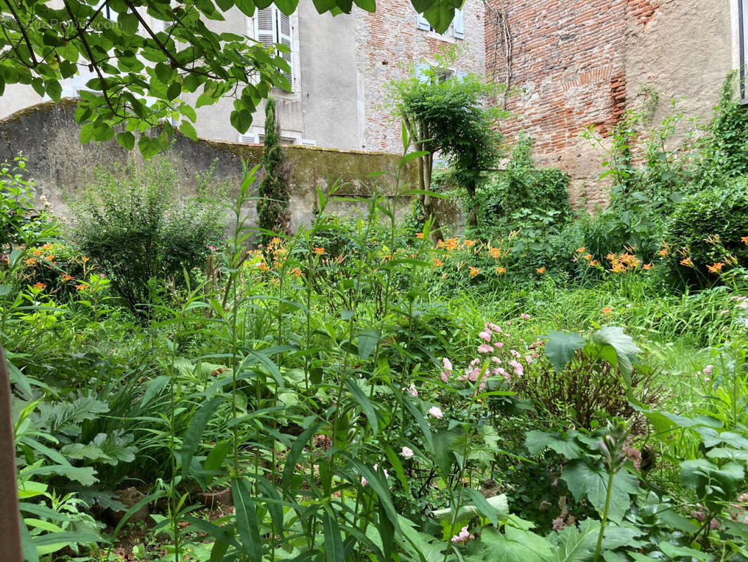jardin commun - Appartement à CAHORS