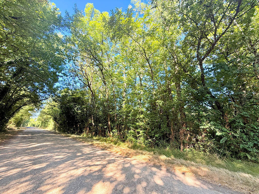 Terrain à ROCHES-PREMARIE-ANDILLE