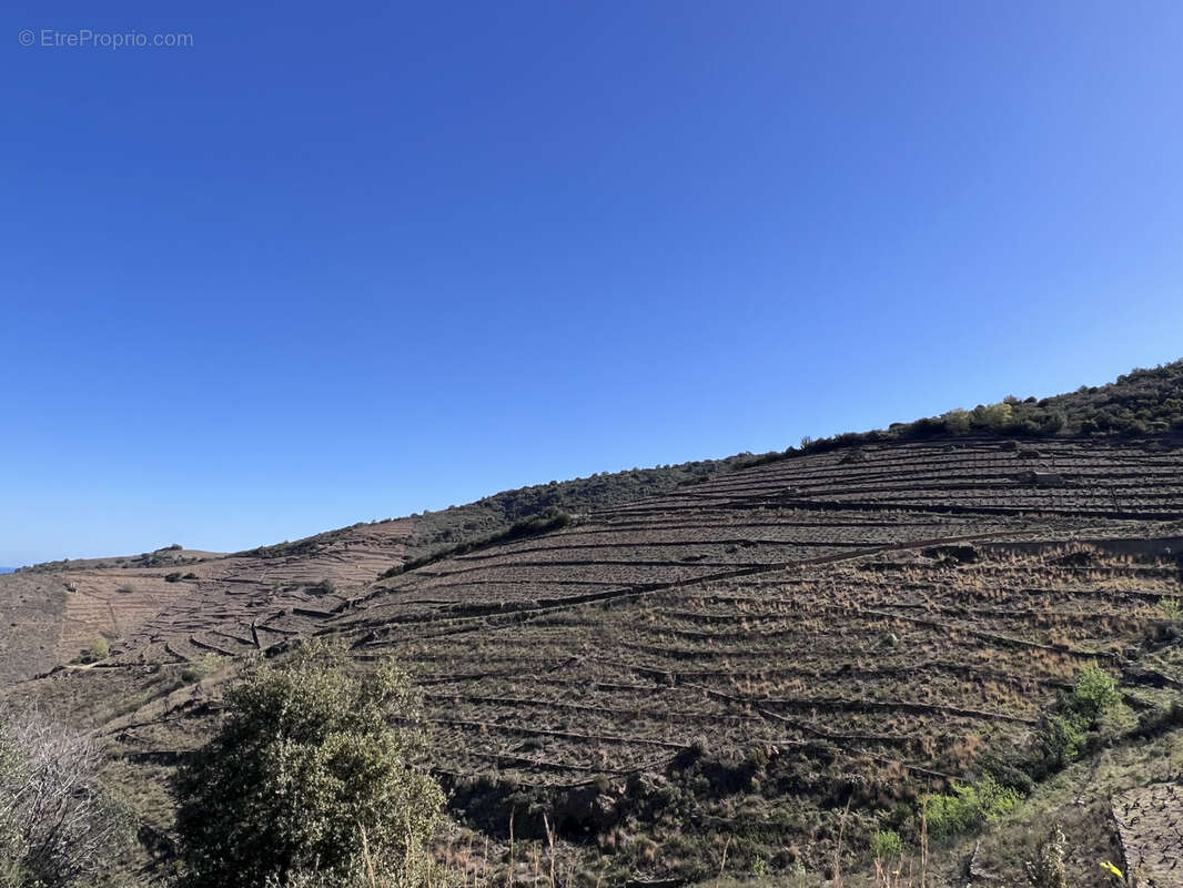 Terrain à BANYULS-SUR-MER