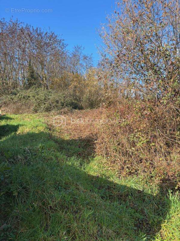Terrain à SAINT-ANTOINE-DU-ROCHER