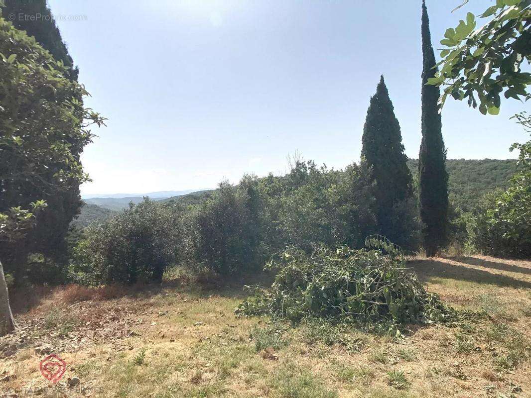 Maison à BELVEZE-DU-RAZES