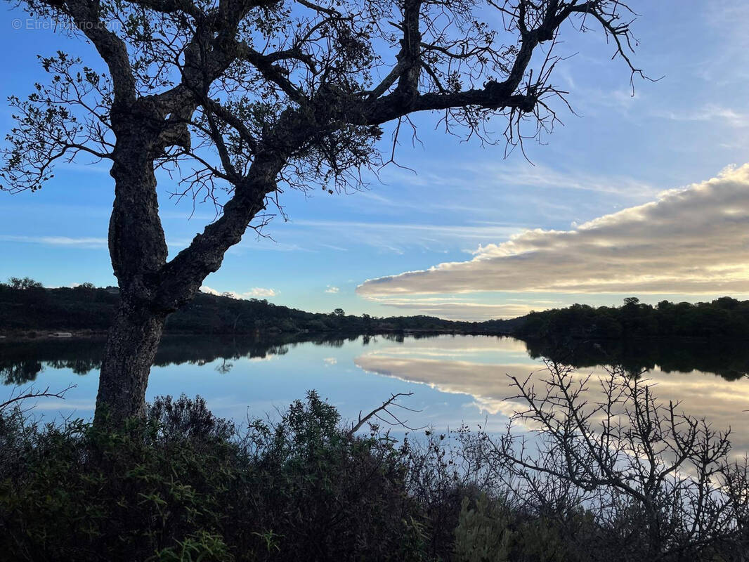 Maison à PORTO-VECCHIO