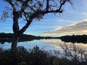 Maison à PORTO-VECCHIO