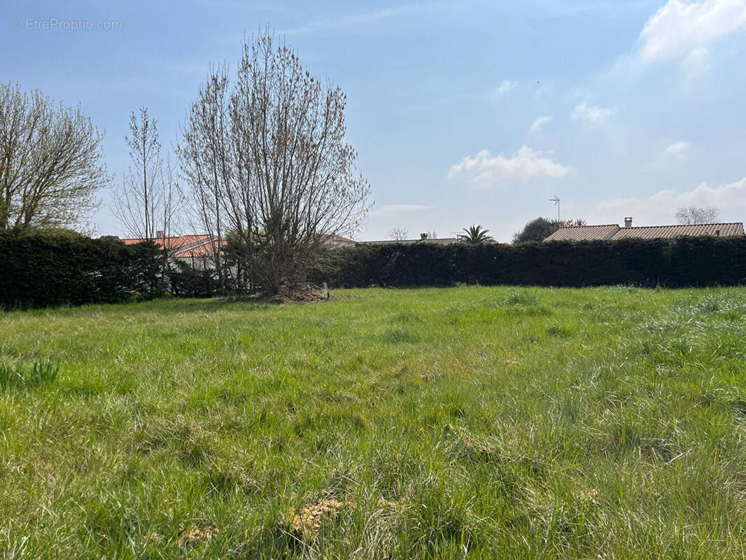 Terrain à LE CHATEAU-D&#039;OLERON
