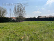 Terrain à LE CHATEAU-D&#039;OLERON