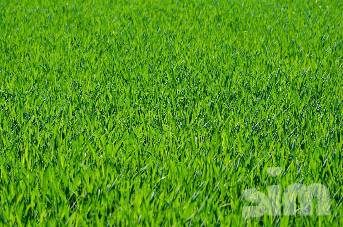 Terrain à LA BAULE-ESCOUBLAC