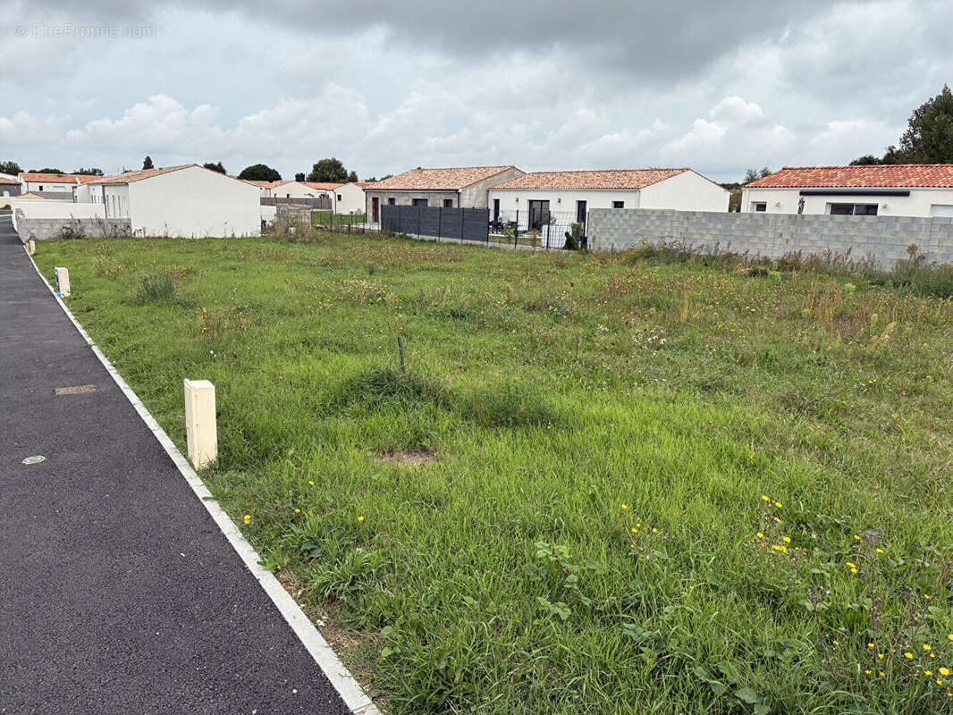 Terrain à SAINT-JUST-LUZAC