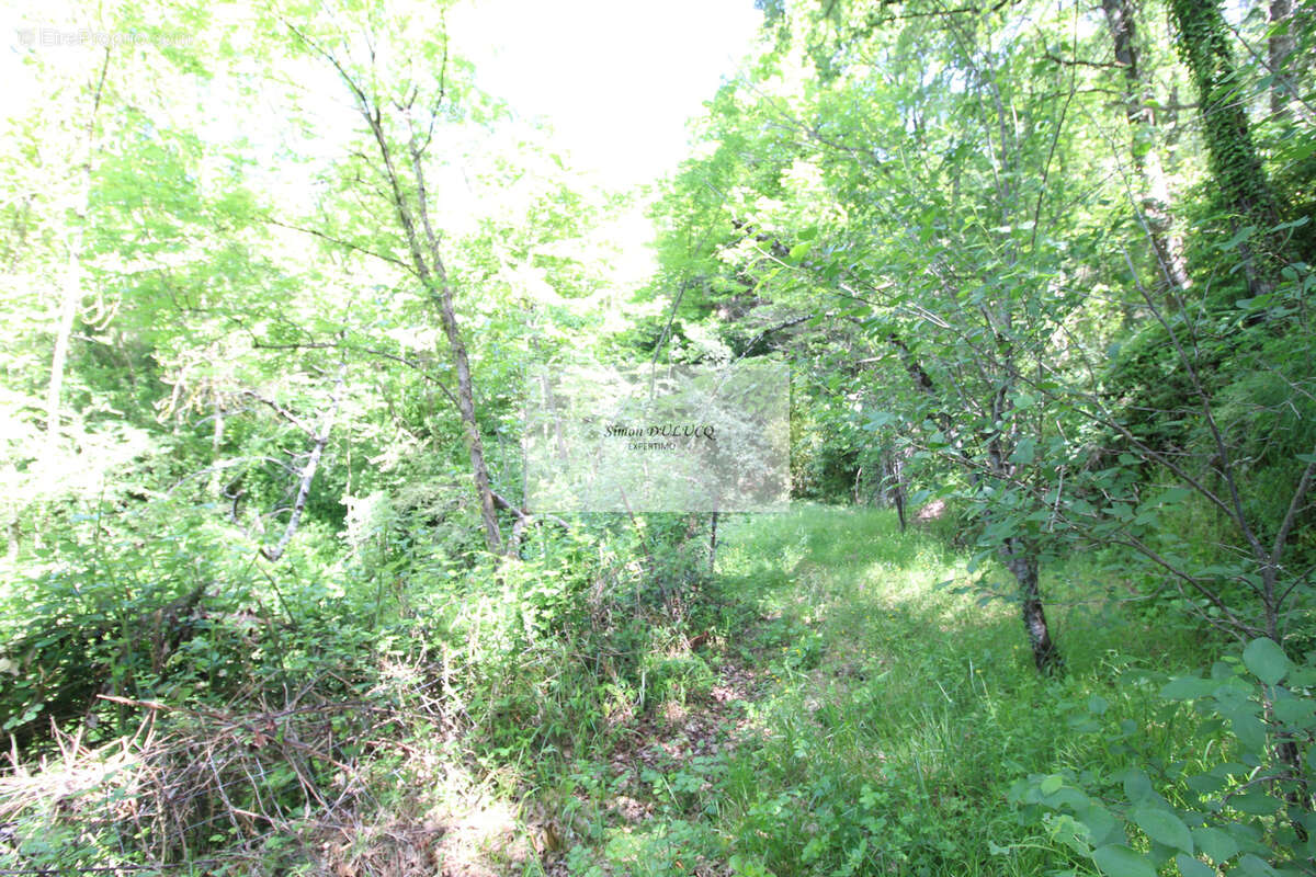 Terrain à SAINT-AFFRIQUE