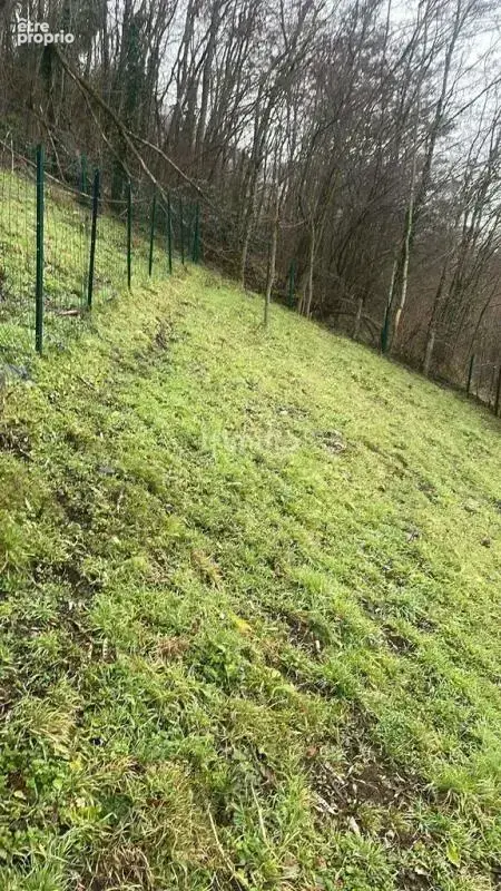 Terrain à bâtir 820 m² à Thann, expo plein sud, permis accordé - photo 7