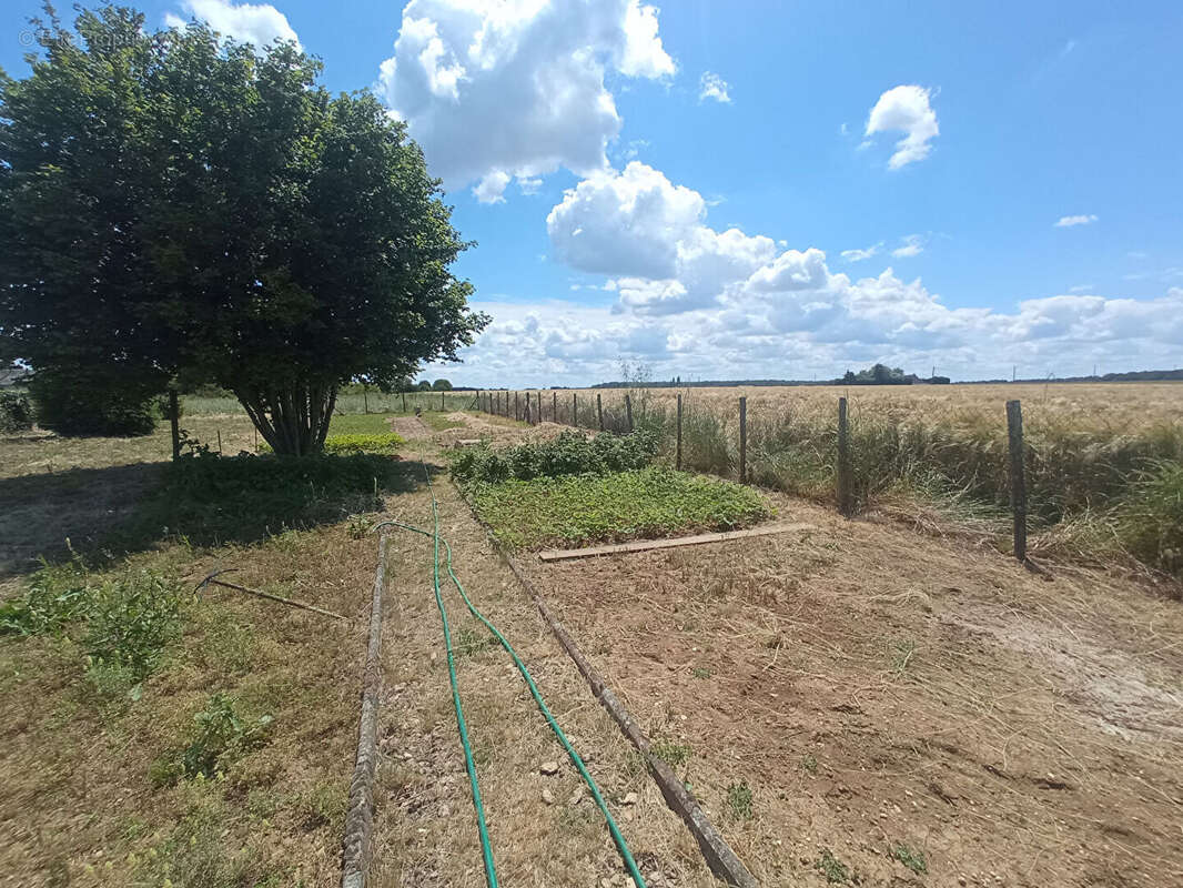 Terrain à CRUCHERAY