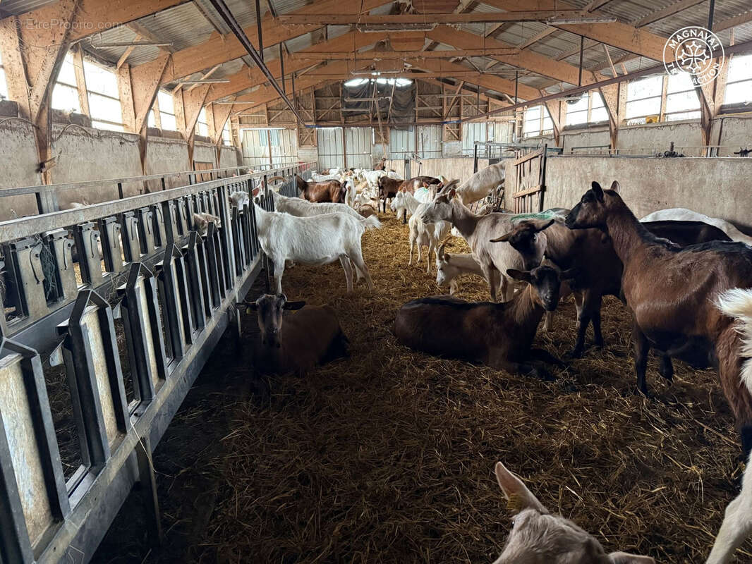 Domaine de caractère   projet gîtes & agritourisme   40 ha - photo 16