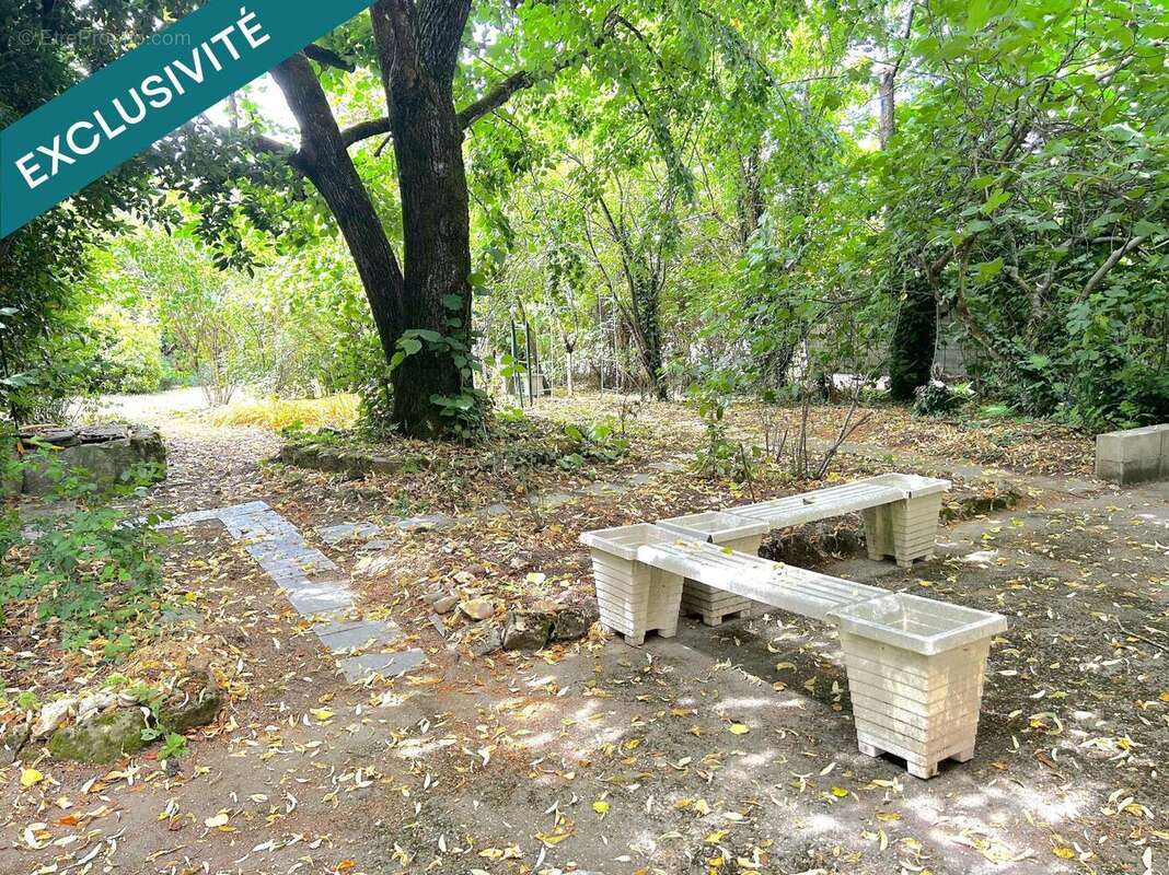 Photo 5 - Maison à CASTRES