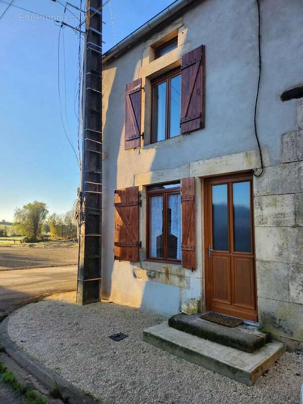 Haute-Marne à vendre : 2 maisons avec jardin ensoleillé - photo 2