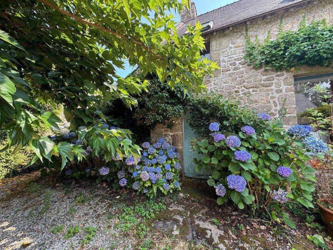 Maison À Vendre - photo 10