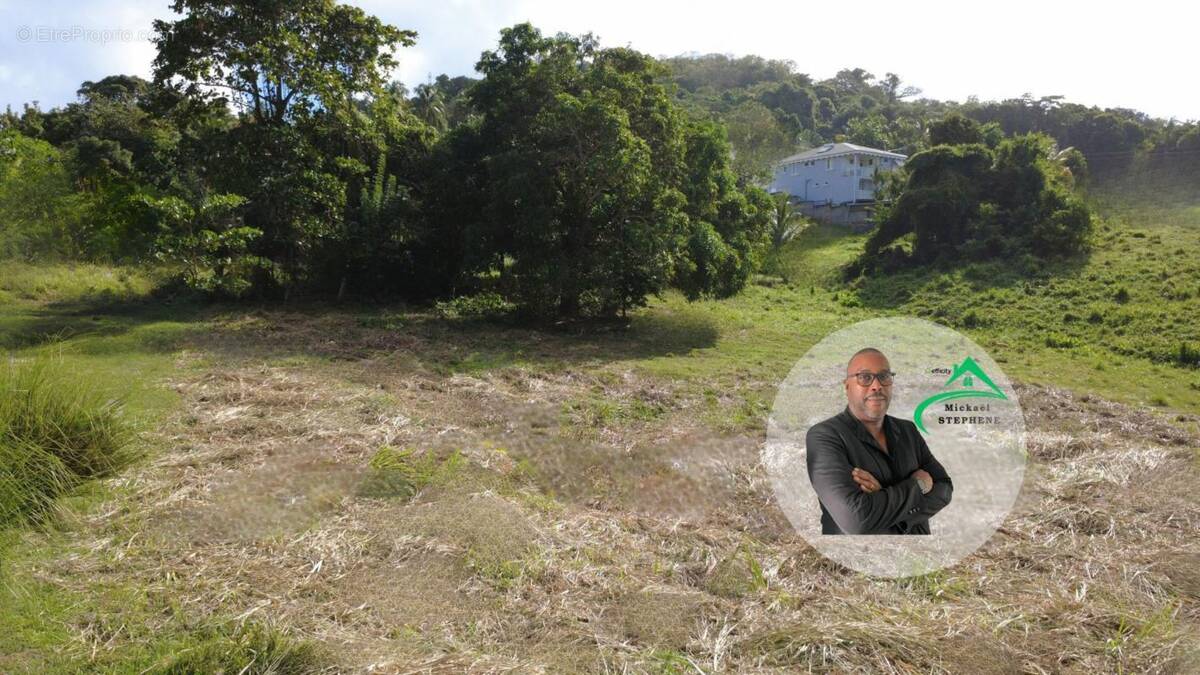 Terrain à LE VAUCLIN