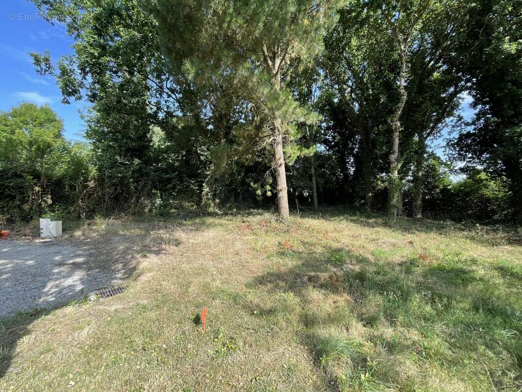 Terrain 569 m² à Sarzeau  - photo 6