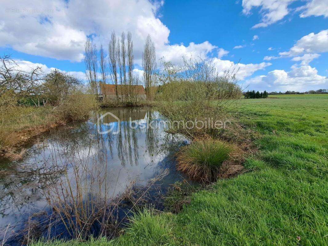 Propriété de Caractère sur 4,3 Hectares – Potentiel Équestre - photo 19