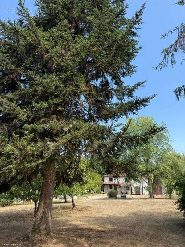 Propriété De Caractère Sur 2 Hectares Avec Deux Gîtes, Piscine Et Fort Potentiel De Développement - photo 57