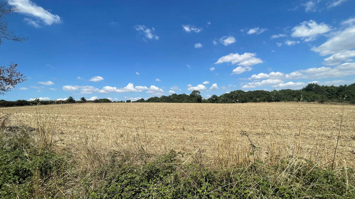 Terrain à SAINT-CHRISTOPHE-DU-LIGNERON