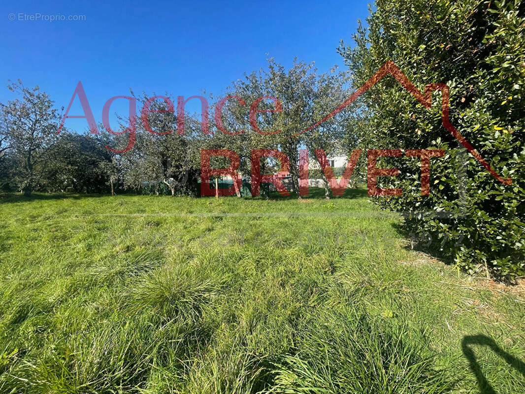 Terrain à SAINTE-REINE-DE-BRETAGNE